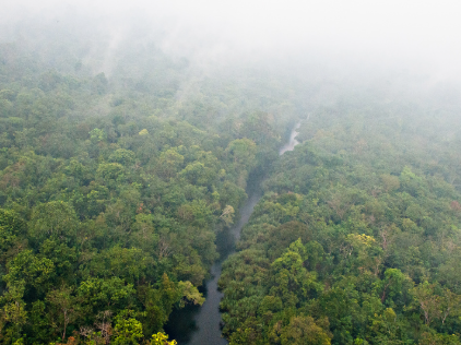 Isu Lingkungan Global Kebakaran Hutan Asia Tenggara
